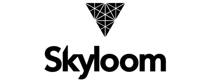 Skyloom company logo
